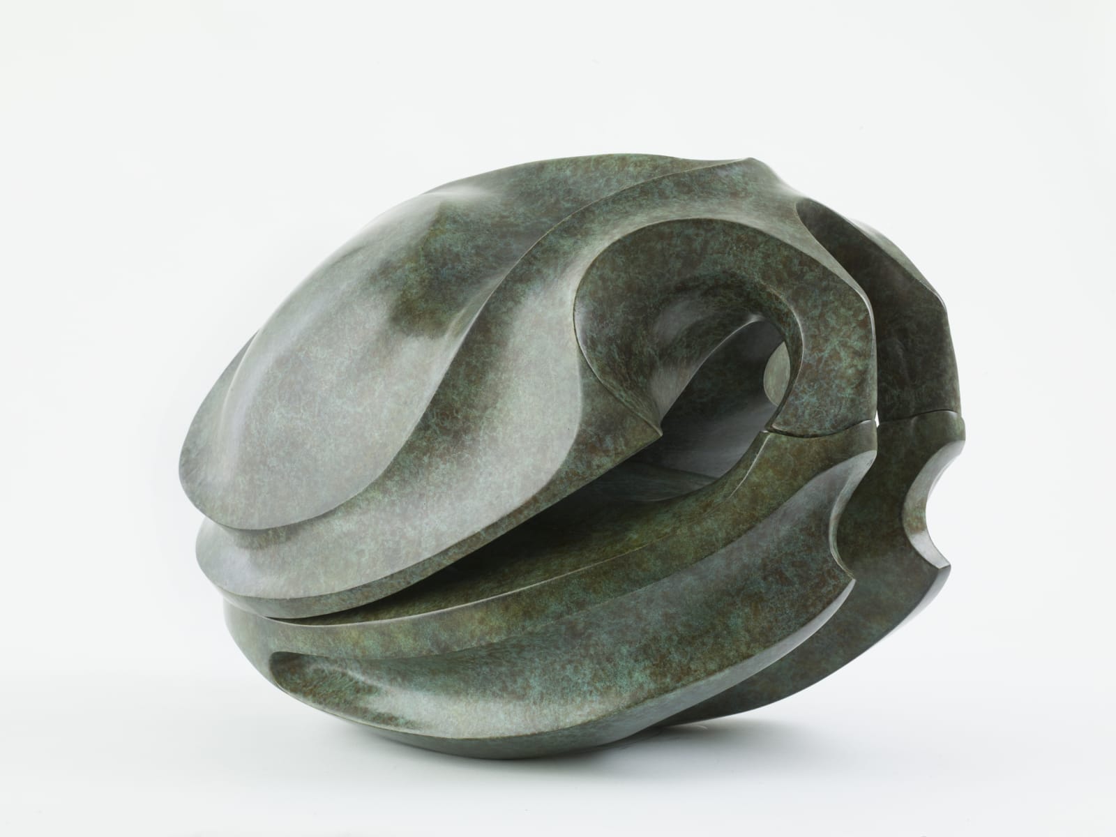 Steve Dilworth, Water Skull, 2016