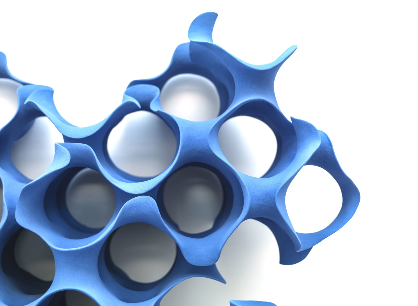 Merete Rasmussen, Morphogenesis, 2015
