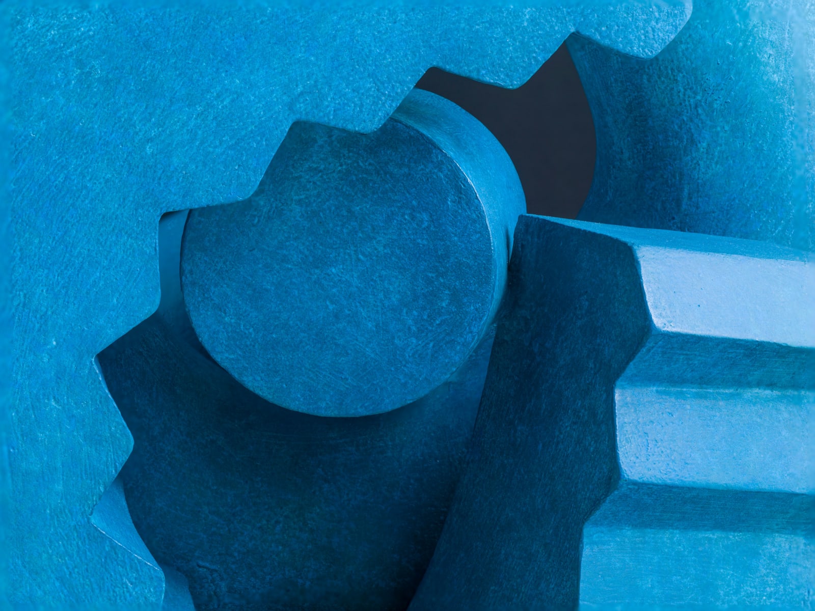 Patricia Volk, Cog, 2020