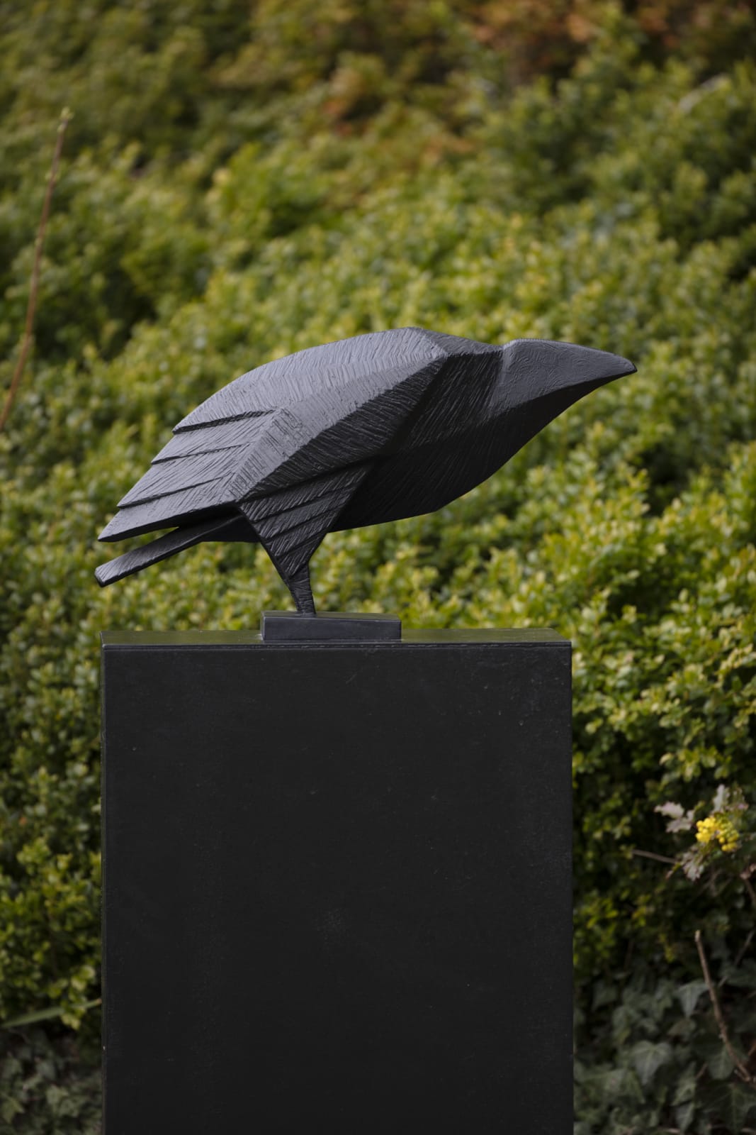 Terence Coventry, Raven I, 2006