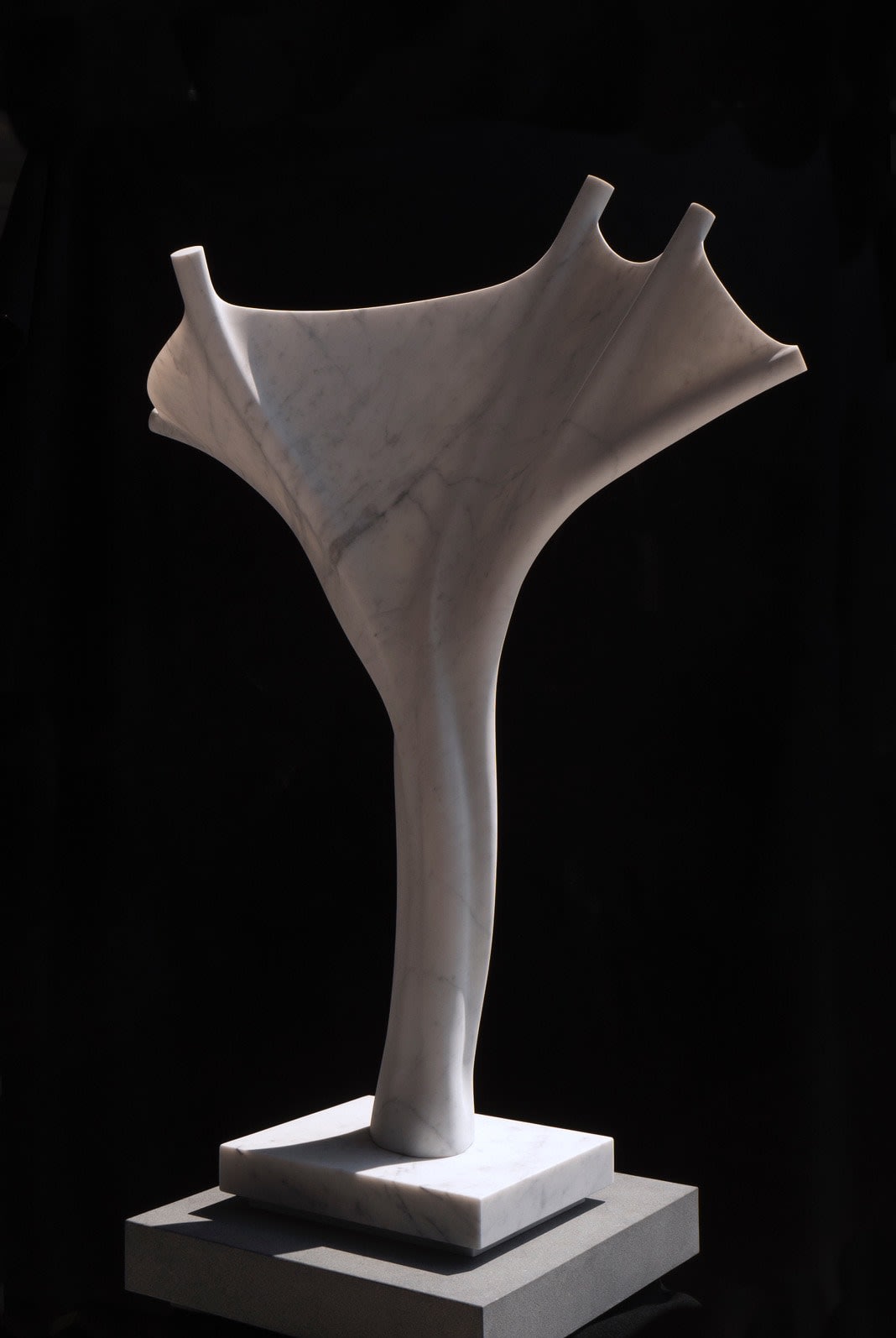 Almuth Tebbenhoff, Joy, 2019