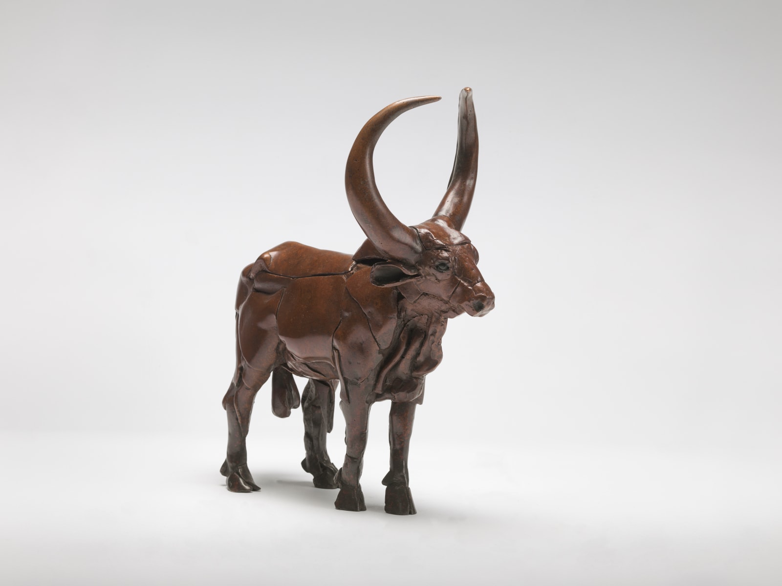 Isaac Okwir, Ankole Bull, 2024
