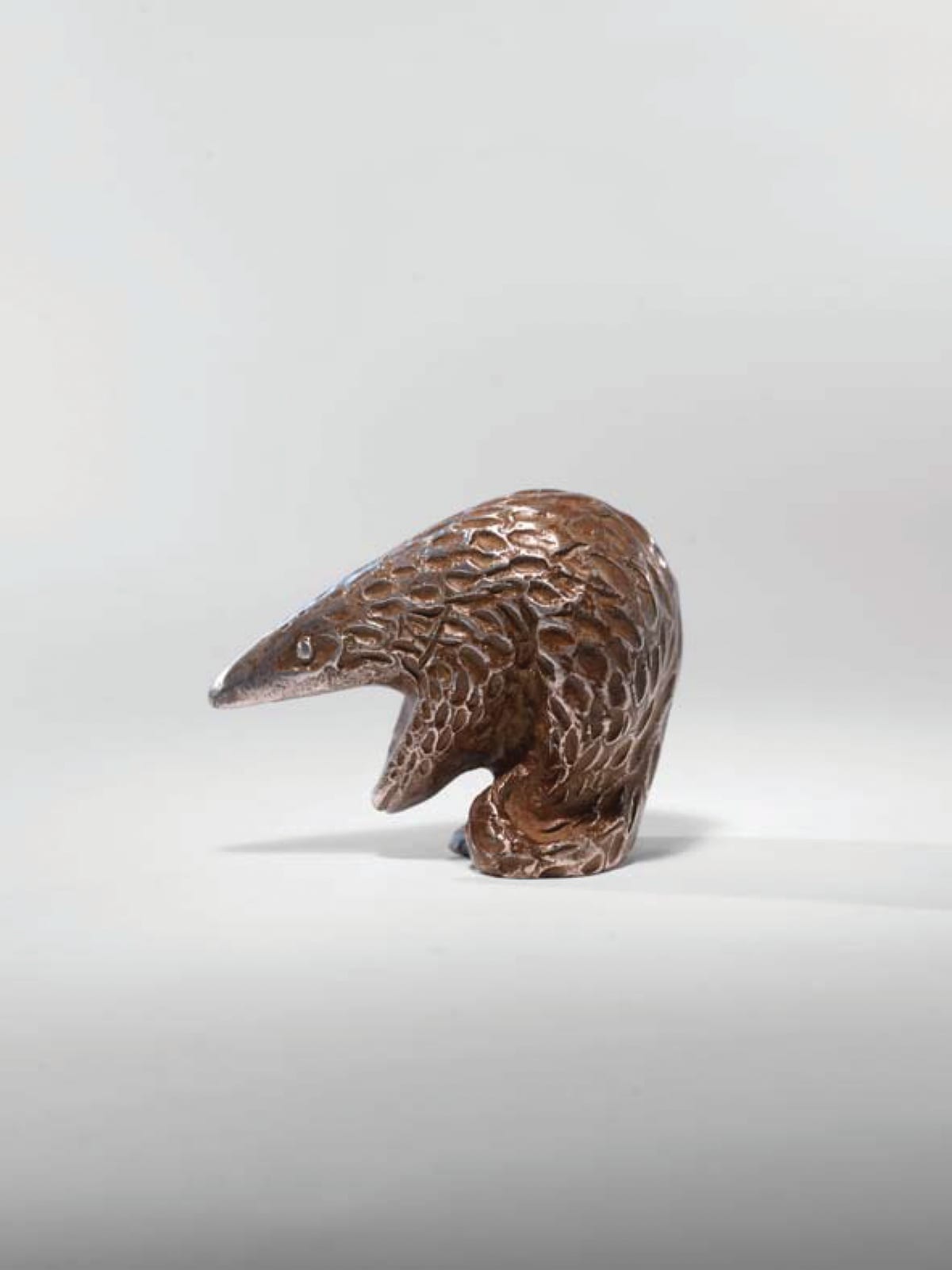 Jonathan Kingdon, Pangolin