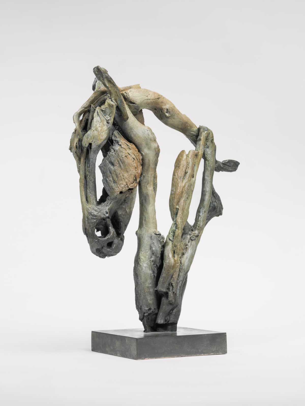 Heather Jansch, Sentinel, 2016