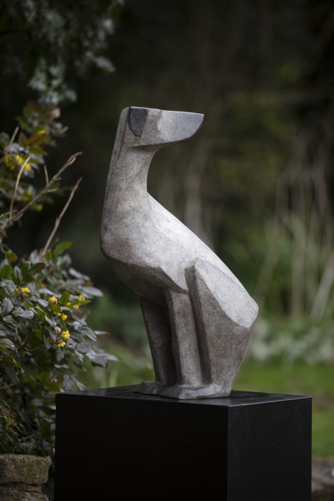 Terence Coventry, Hound II, 2000