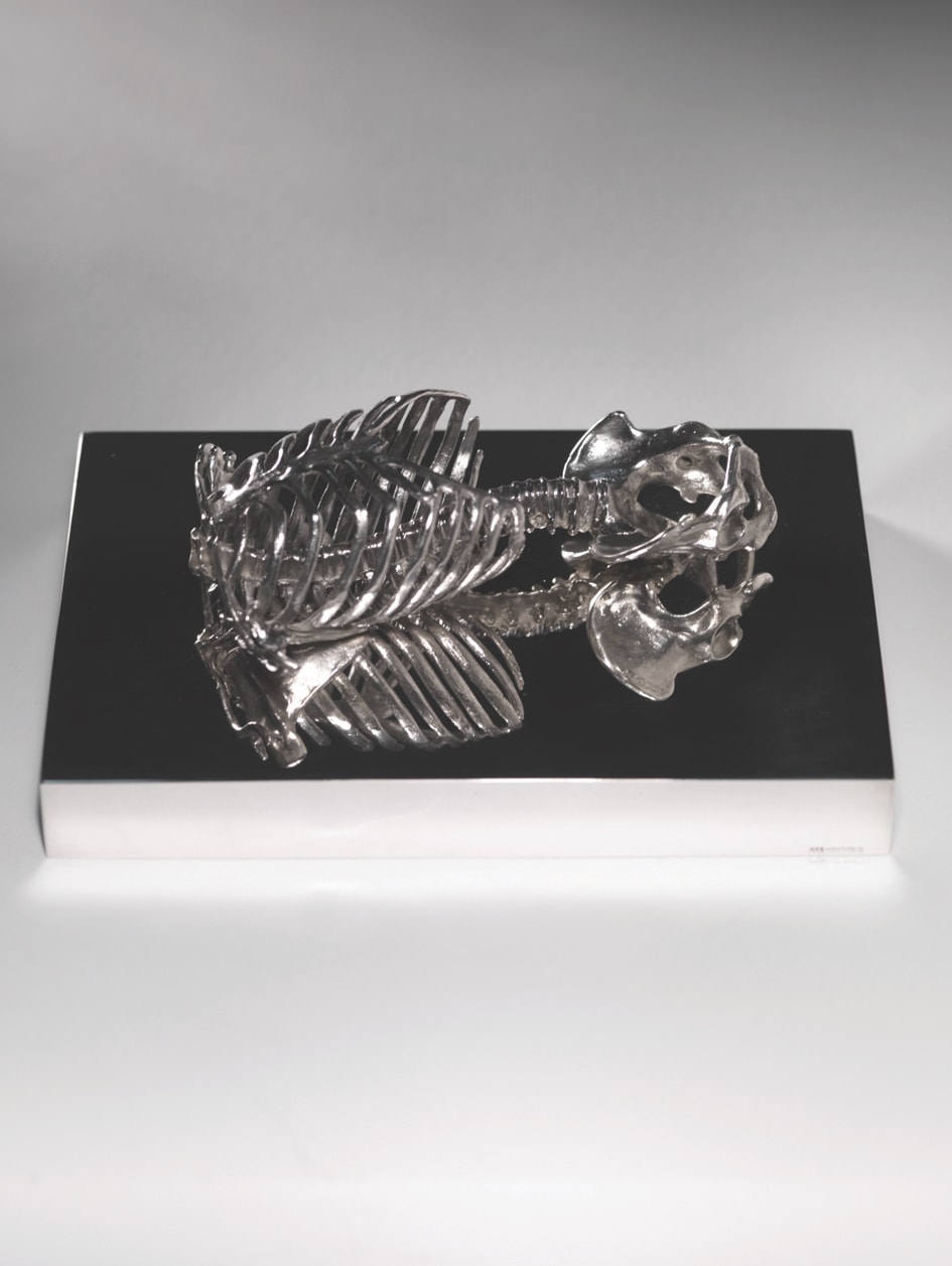 Alastair Mackie, Maquette for Self-Portrait, 2008