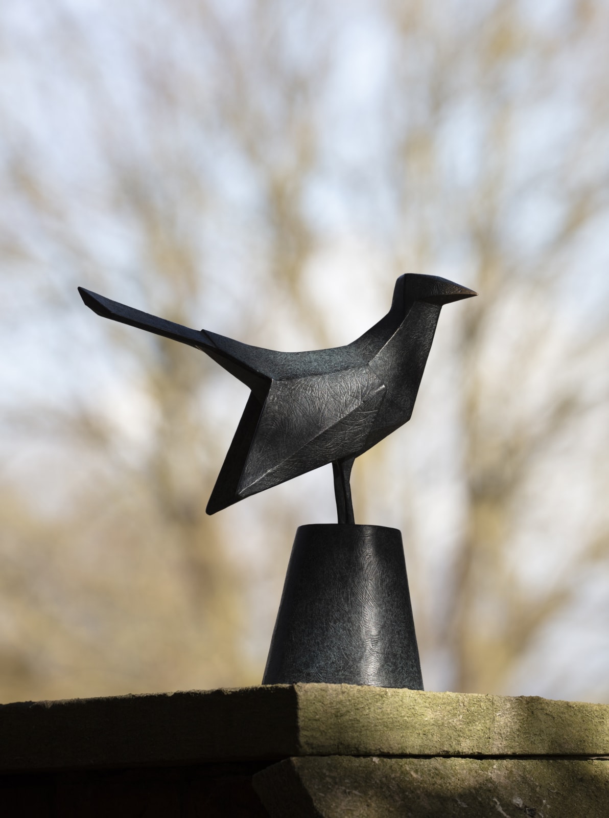 Terence Coventry, Cuckoo, 2013