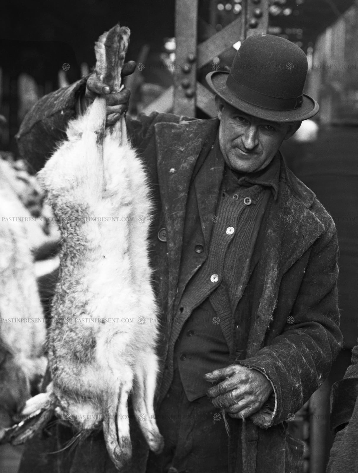NYC Bowery Paddy’s Market Fresh Rabbit Meat , c.1900's