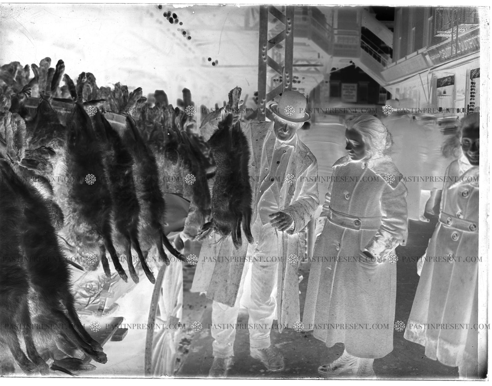 NYC Bowery Paddy’s Market Fresh Rabbit Meat , c.1900's