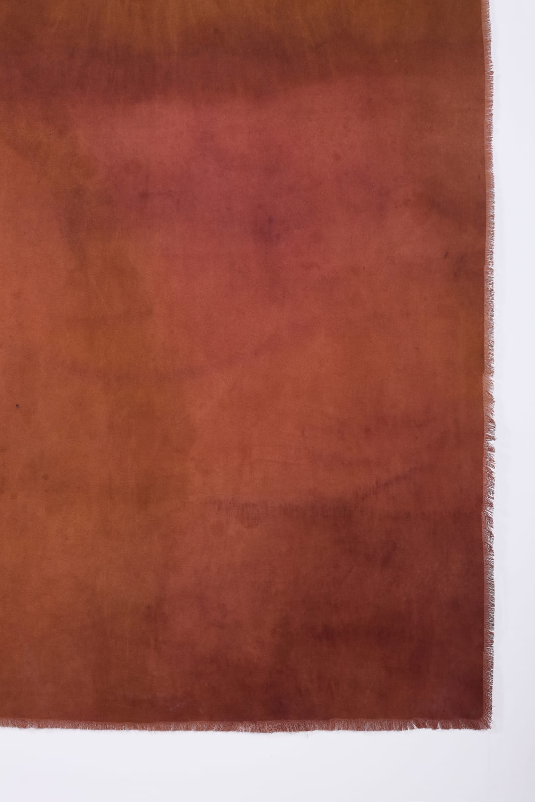 Paula Bosco, Paisaje Interior, 2025