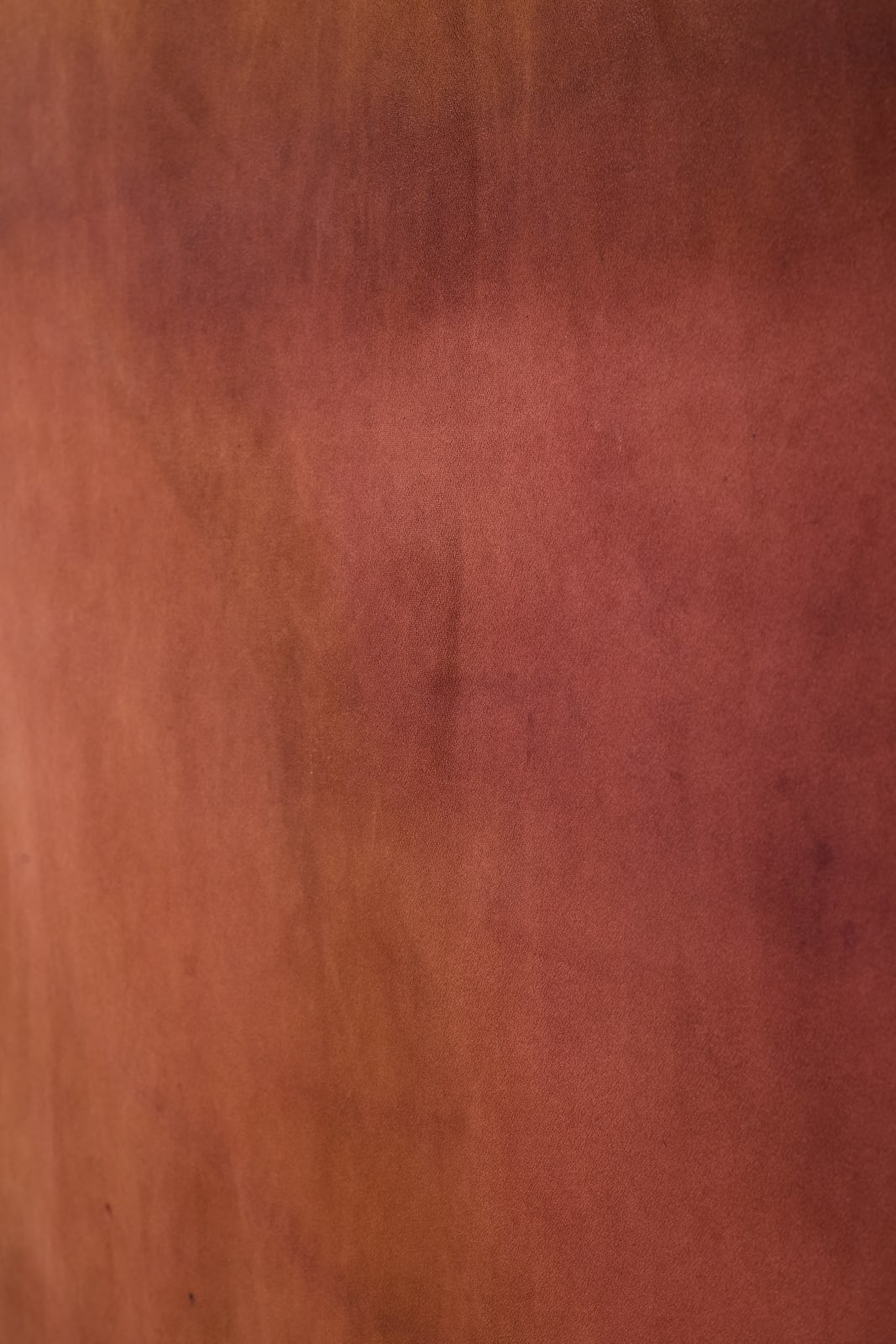 Paula Bosco, Paisaje Interior, 2025