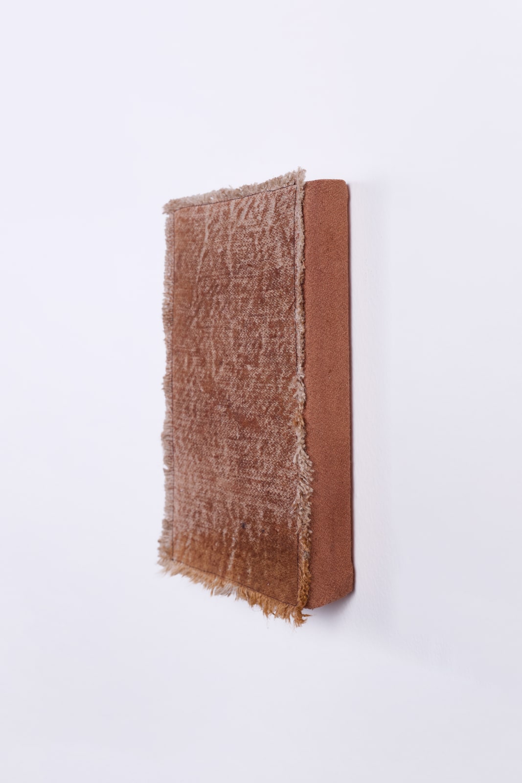 Paula Bosco, Fractal E_vii, 2025