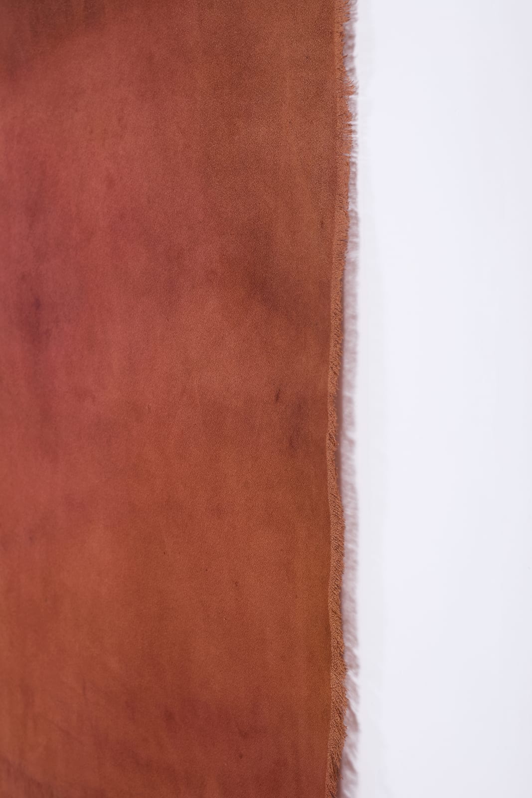 Paula Bosco, Paisaje Interior, 2025