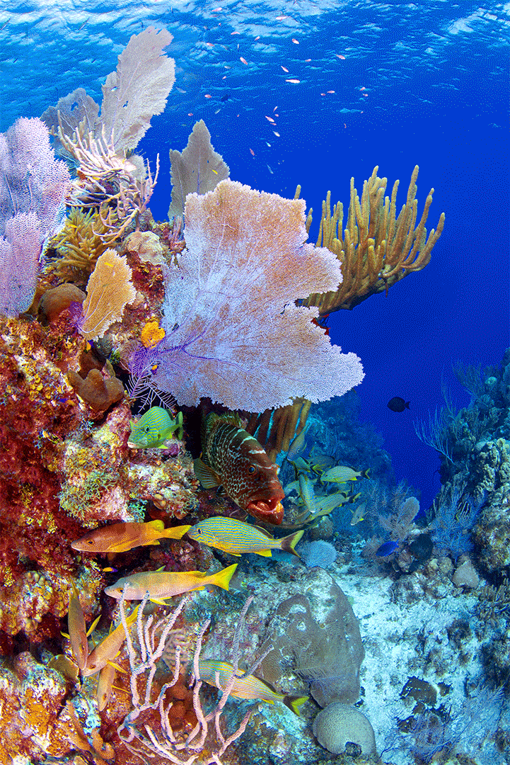 Paul Gruner, 3D Mixing Bowl