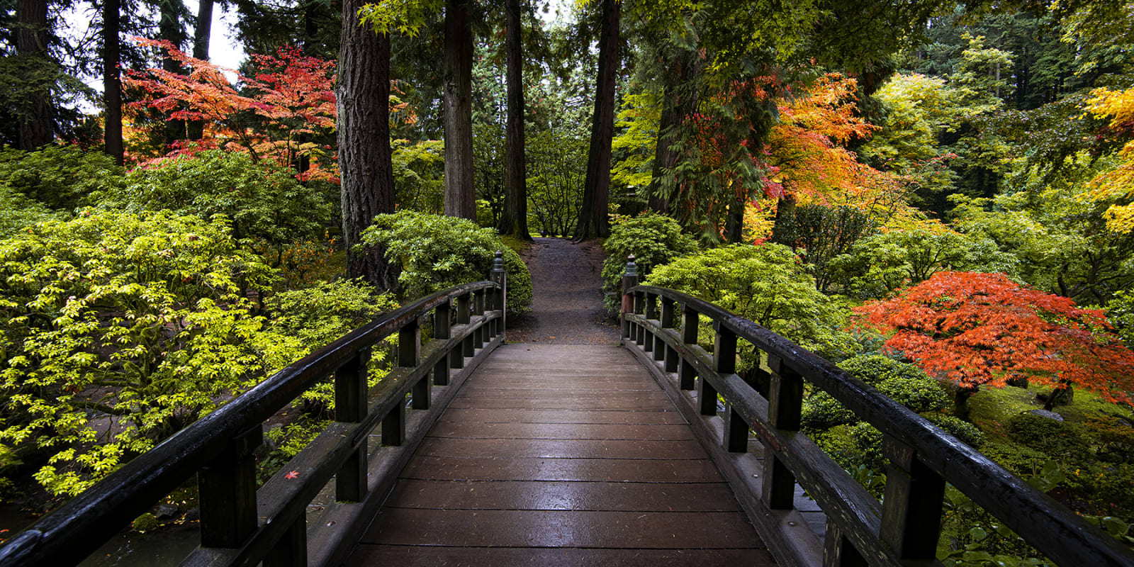 Paul Gruner, Bridge To Serenity
