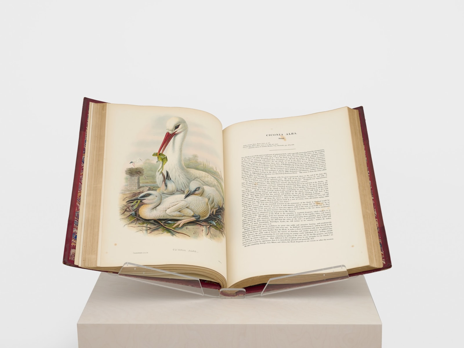John Gould, The Birds of Great Britain (First Edition, 5 Volumes), 1873