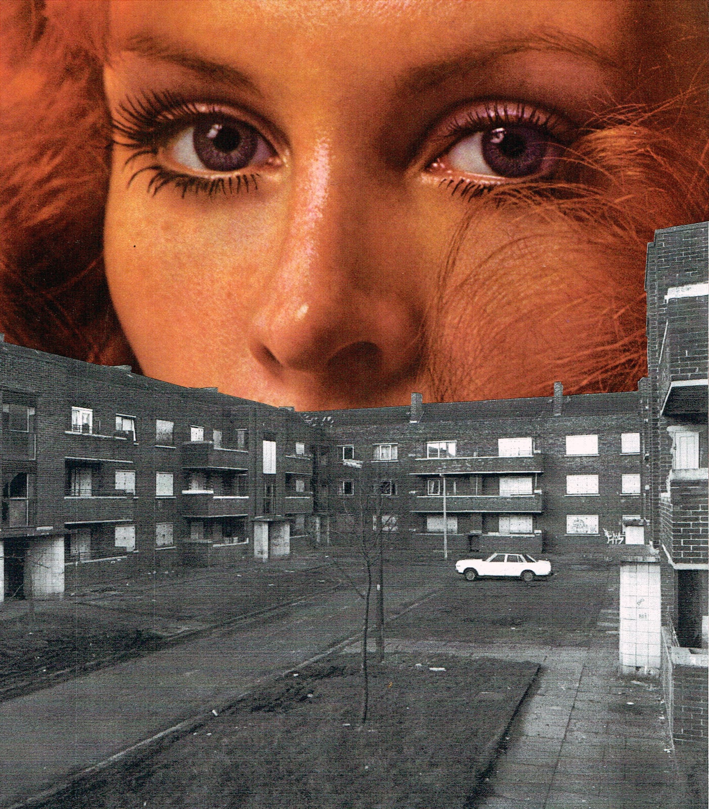 Sarah Hardacre, The Camels Are Coming, 2020