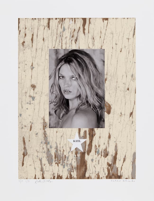 Peter Blake, KATE., 2010