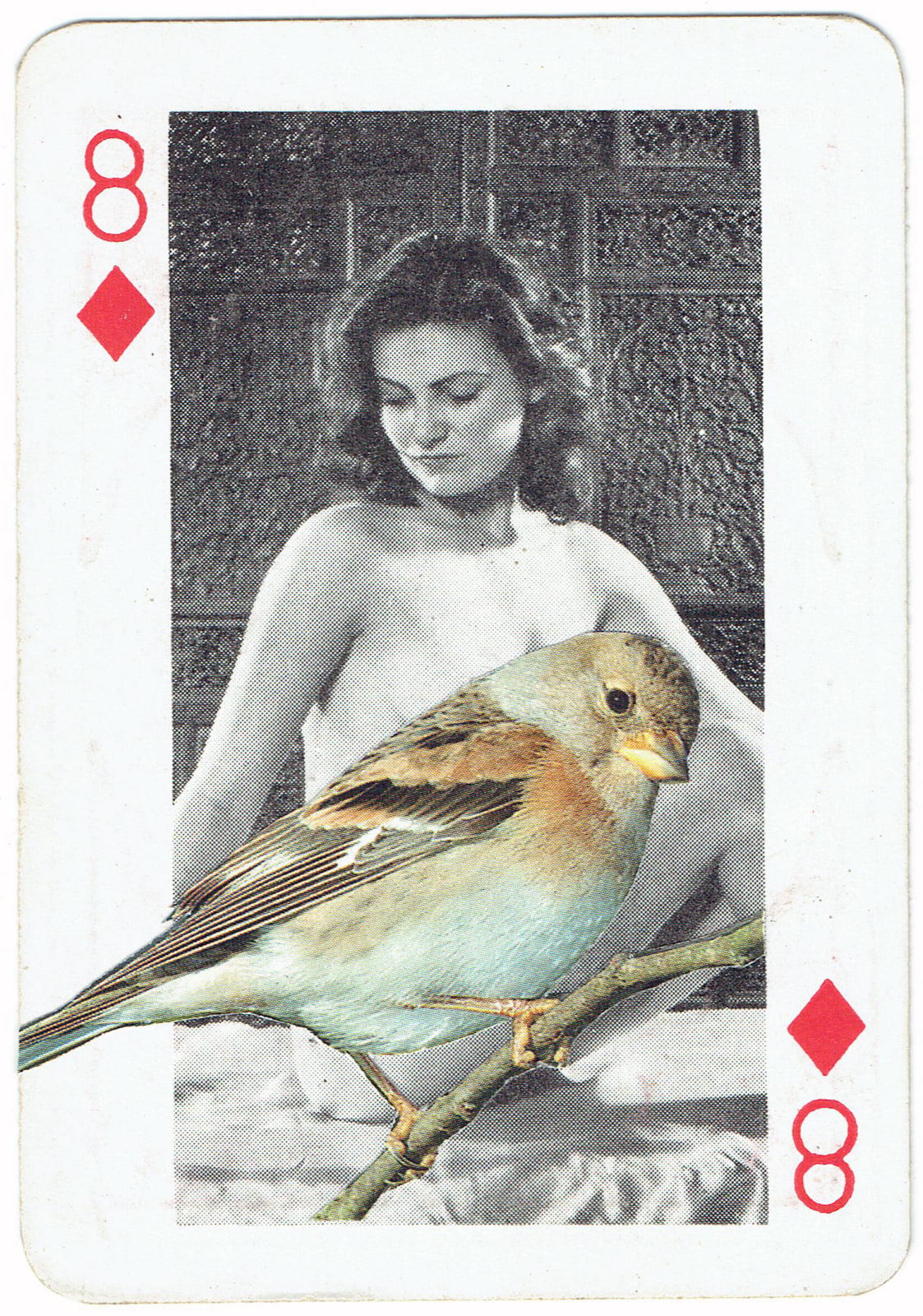 Sarah Hardacre, Eight of Diamonds Brambling, 2016