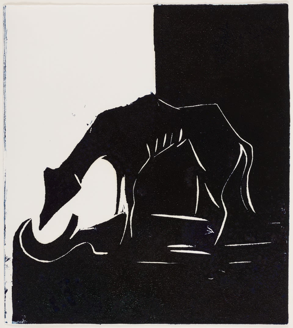 Rachel Howard, Not The Last, 2015