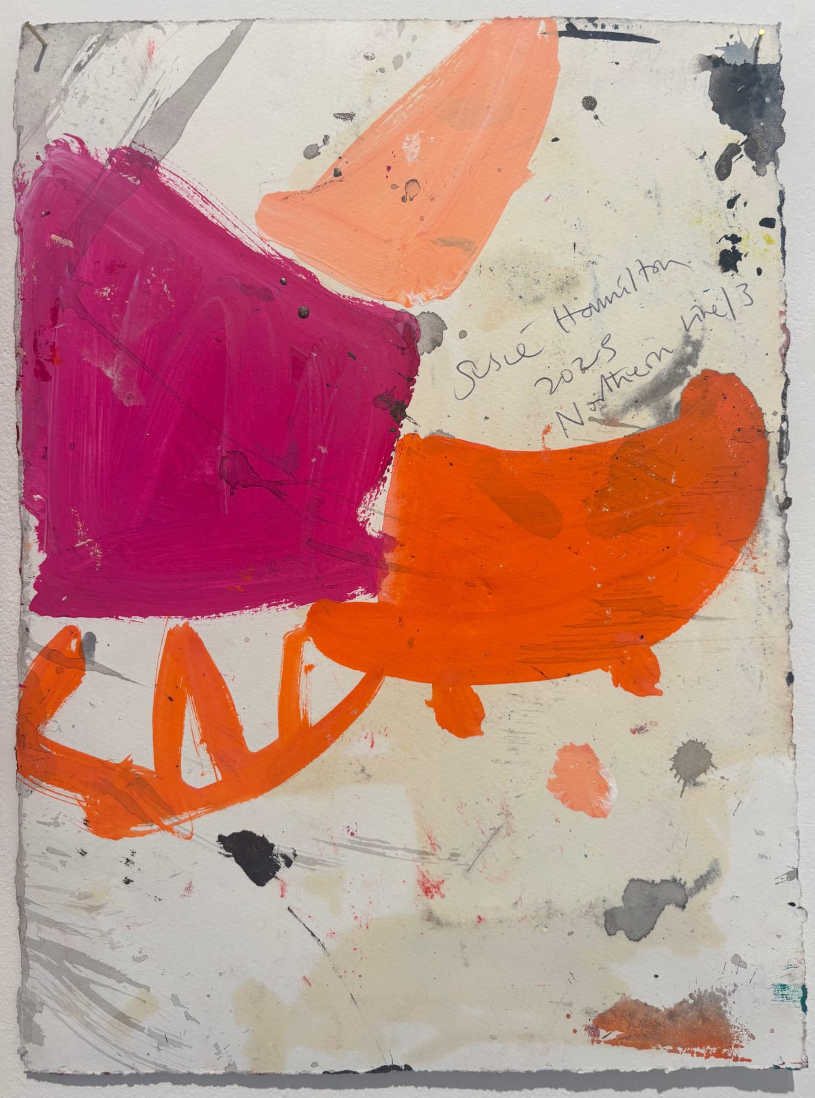 Susie Hamilton, Northern Line 13, 2025