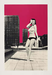 Sarah Hardacre, Along the Road to Serfdom, 2012