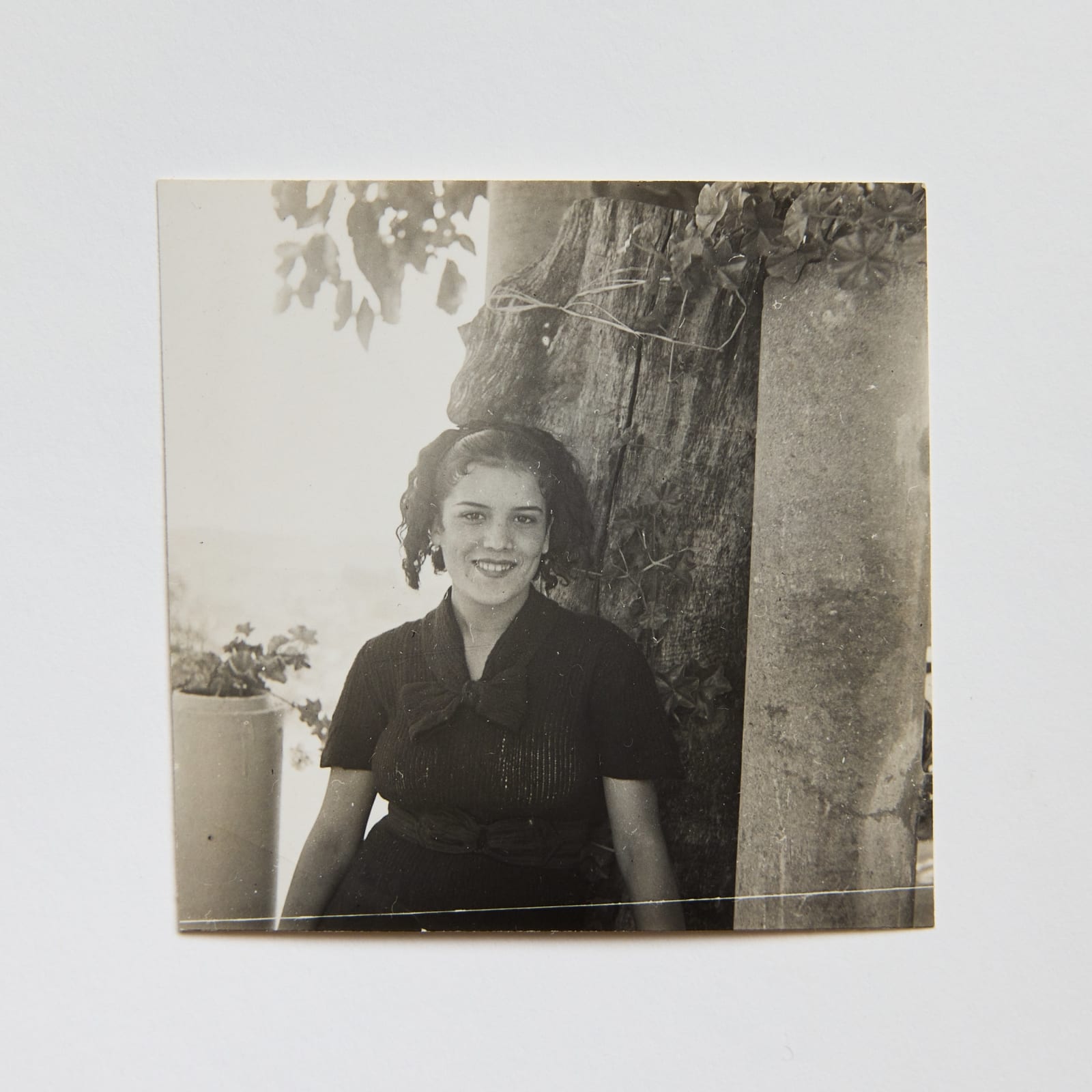Dora Maar, Inès Sassier in an Olive Tree Trunk Armchair - Hôtel Vaste Horizon Mougins (Inès Sassier dans un Fauteuil en Tronc D’Olivier - Hôtel Vaste Horizon Mougins), Summer 1937