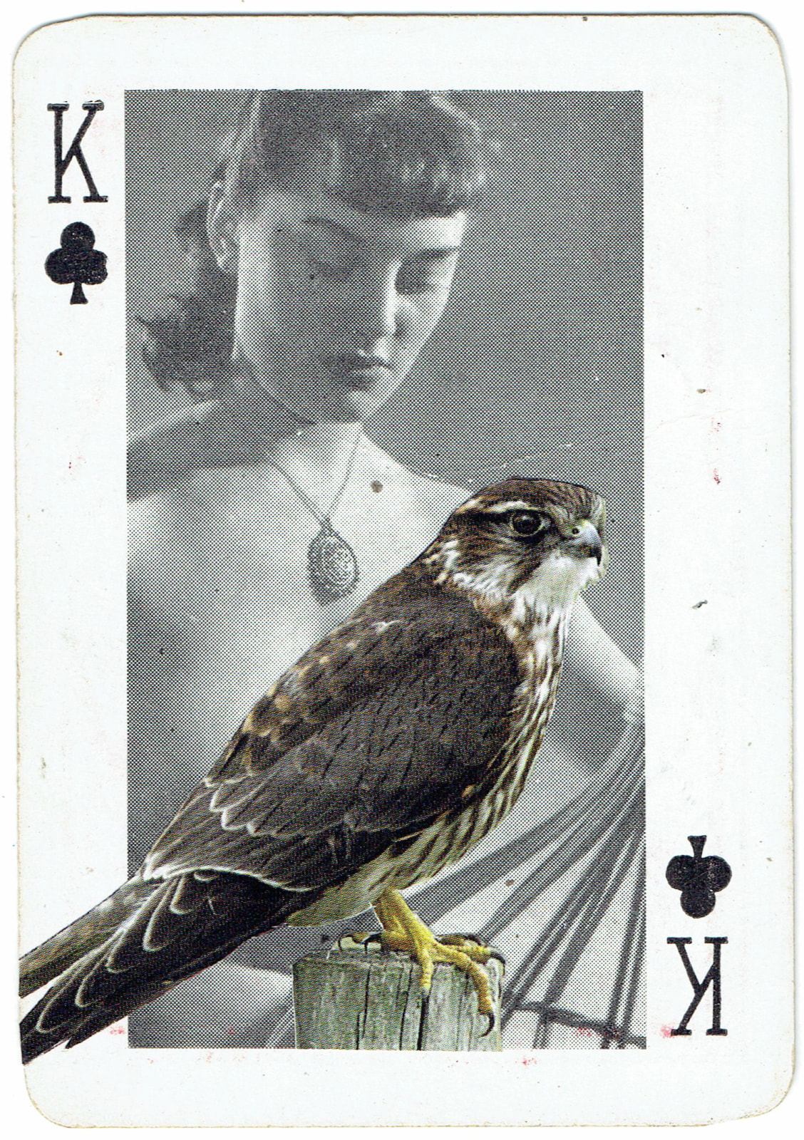 Sarah Hardacre, King of Clubs Merlin, 2016