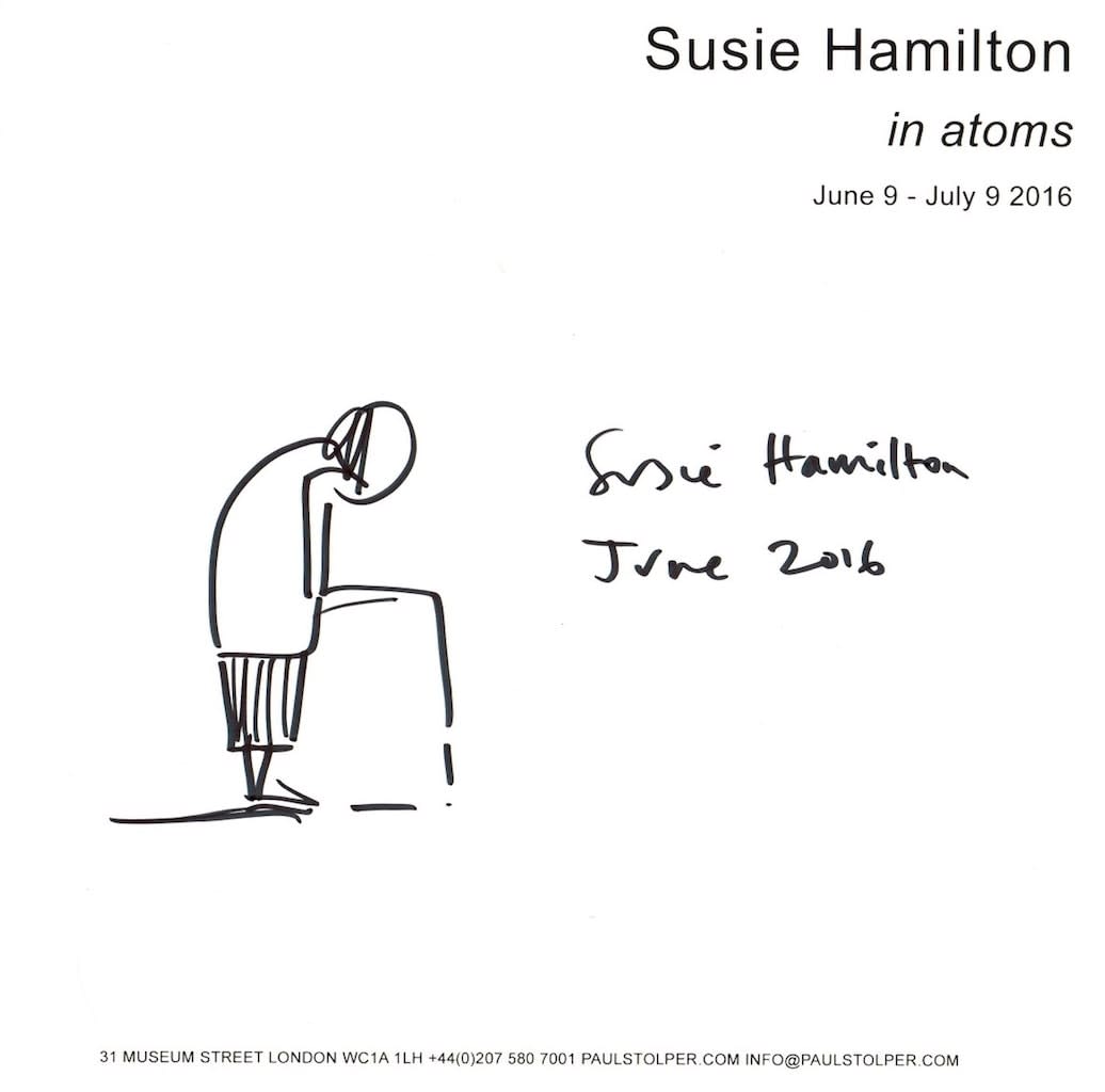 Susie Hamilton, In Atoms Catalogue, 2016