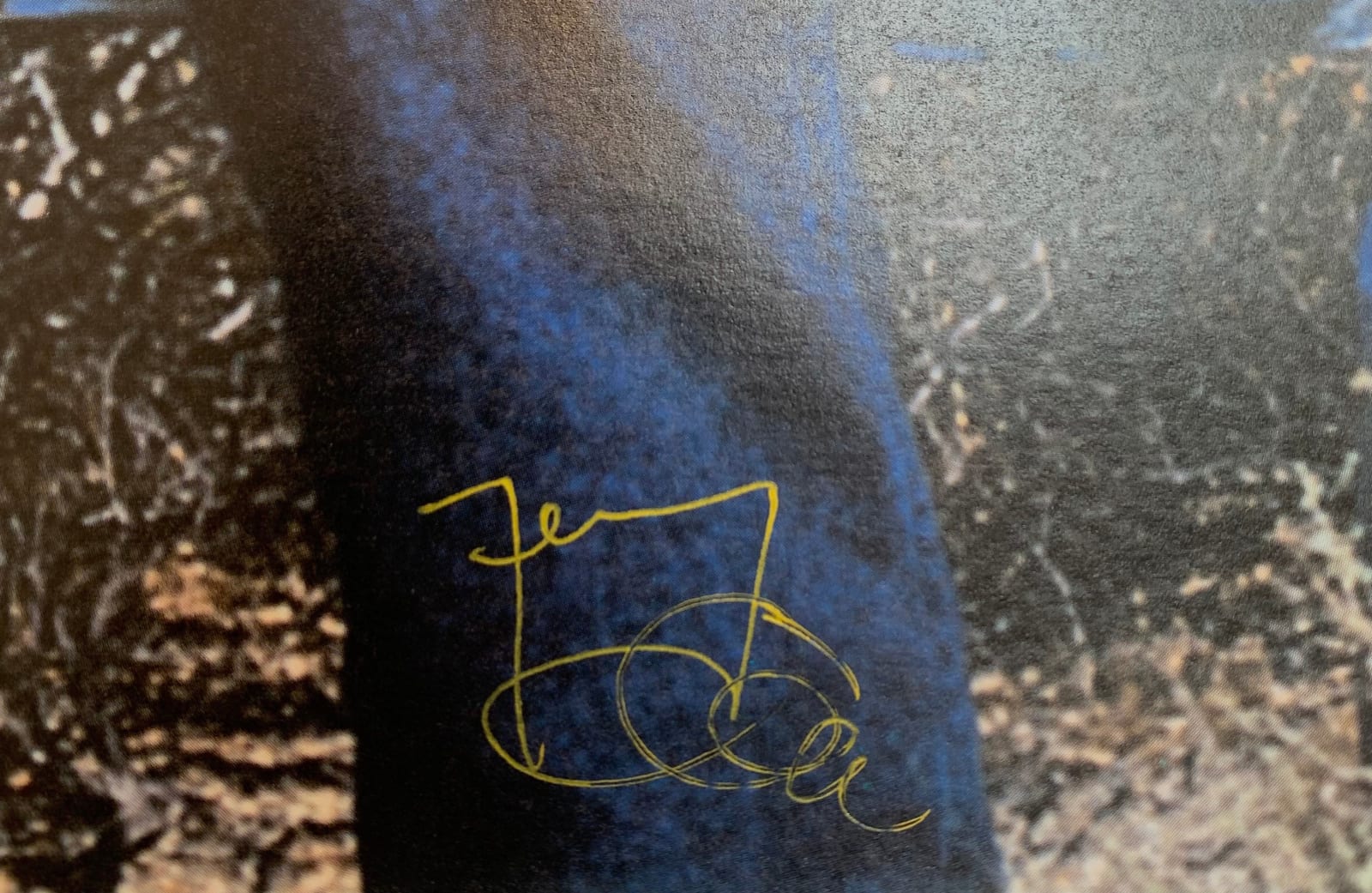 Jeremy Deller, William Elliot Whitmore, 2004