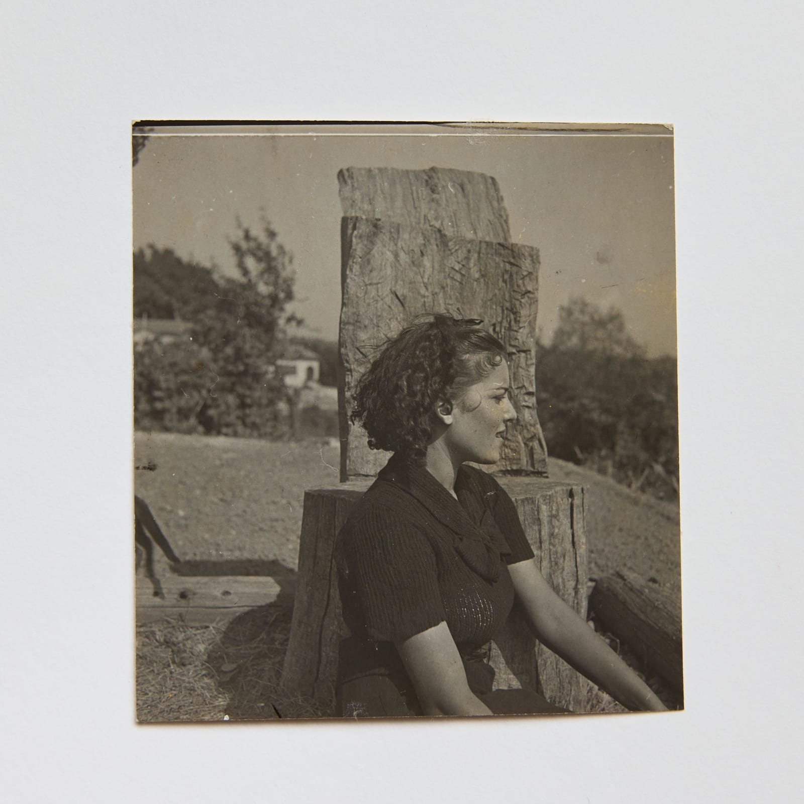 Dora Maar, Inès Sassier in an Olive Tree Trunk Armchair - Hôtel Vaste Horizon Mougins (Inès Sassier dans un Fauteuil en Tronc D’Olivier - Hôtel Vaste Horizon Mougins), Summer 1937