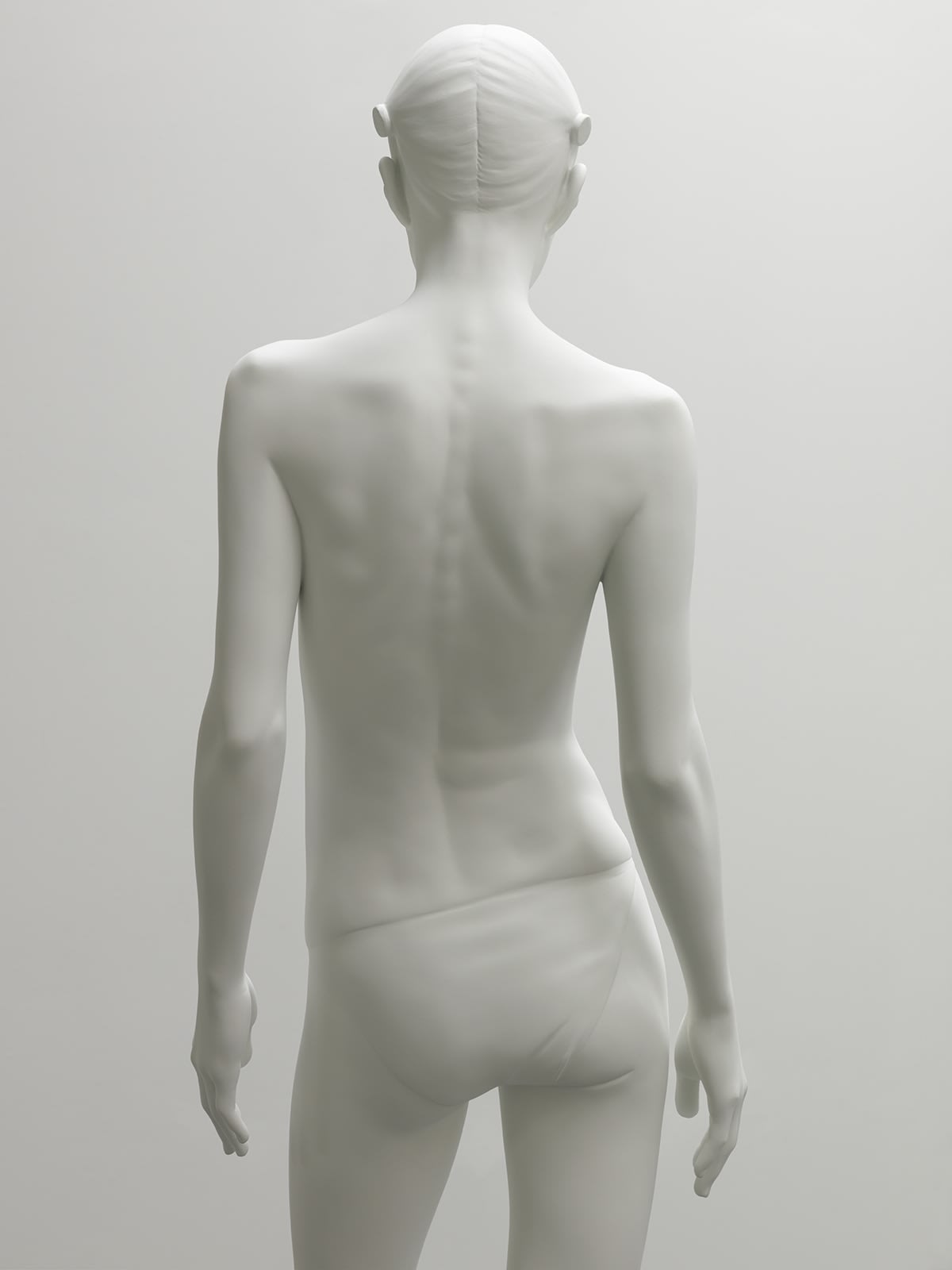 Don Brown, Yoko VII, 2012