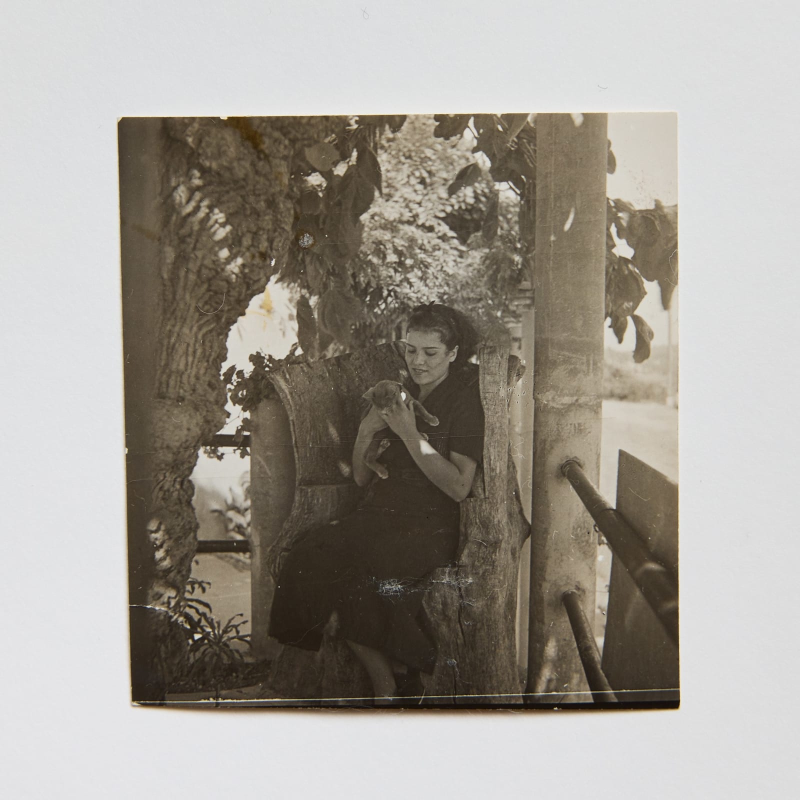 Dora Maar, Inès Sassier in an Olive Tree Trunk Armchair - Hôtel Vaste Horizon Mougins (Inès Sassier dans un Fauteuil en Tronc D’Olivier - Hôtel Vaste Horizon Mougins), Summer 1937