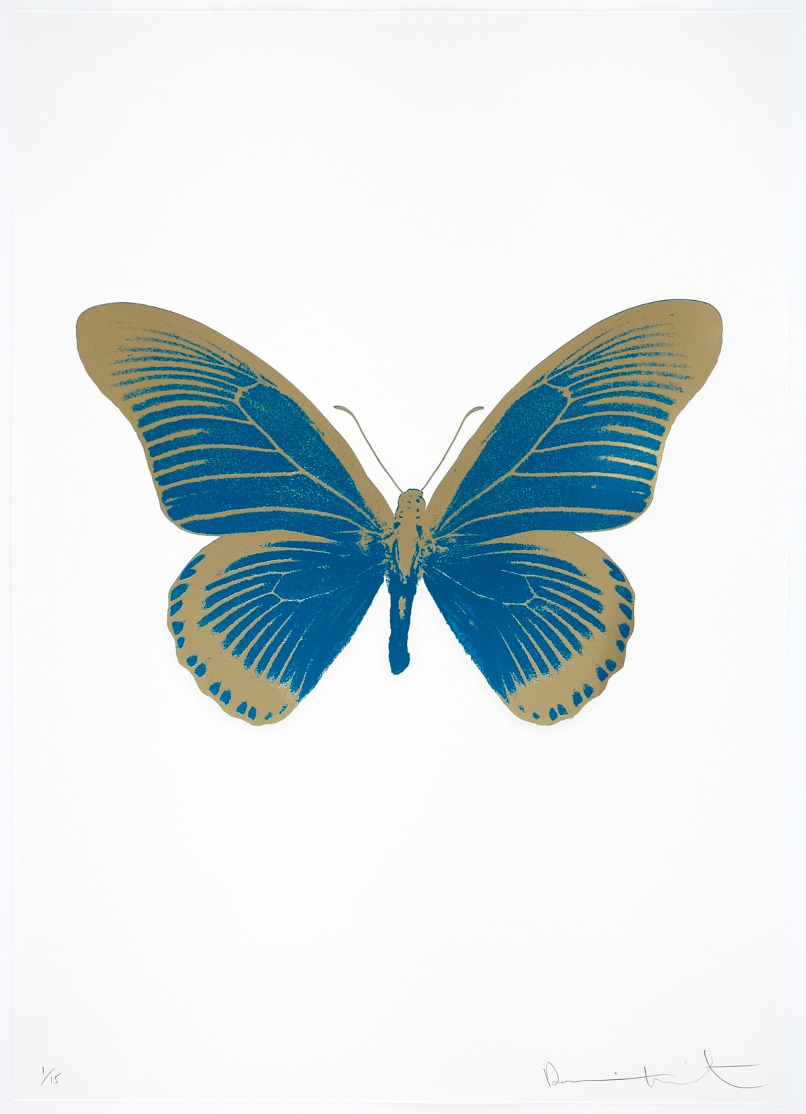 Damien Hirst The Souls Iv Turquoise Cool Gold Damien Hirst Butterfly Foil Print For Sale Damien Hirst Print For Sale 2010 Paul Stolper