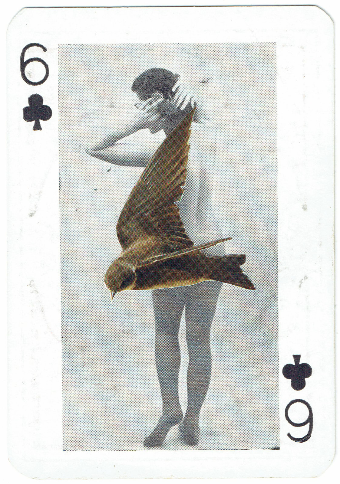 Sarah Hardacre, Six of Clubs Sand Martin, 2016