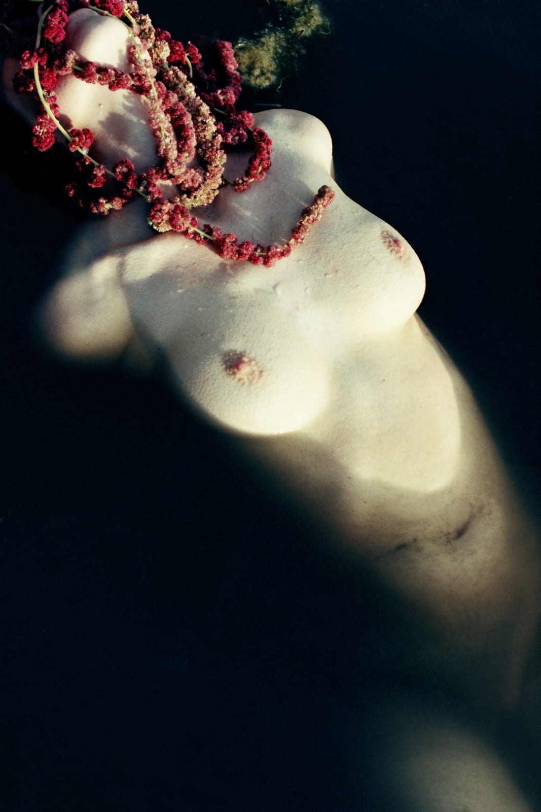 Denisse Ariana Pérez, Part of “AGUA”, 2020