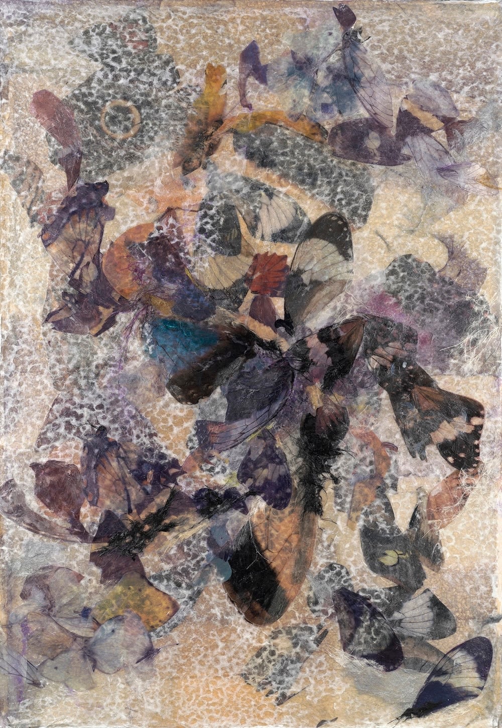 Rosemary Feit Covey, The Dark Re Imagined, 2019