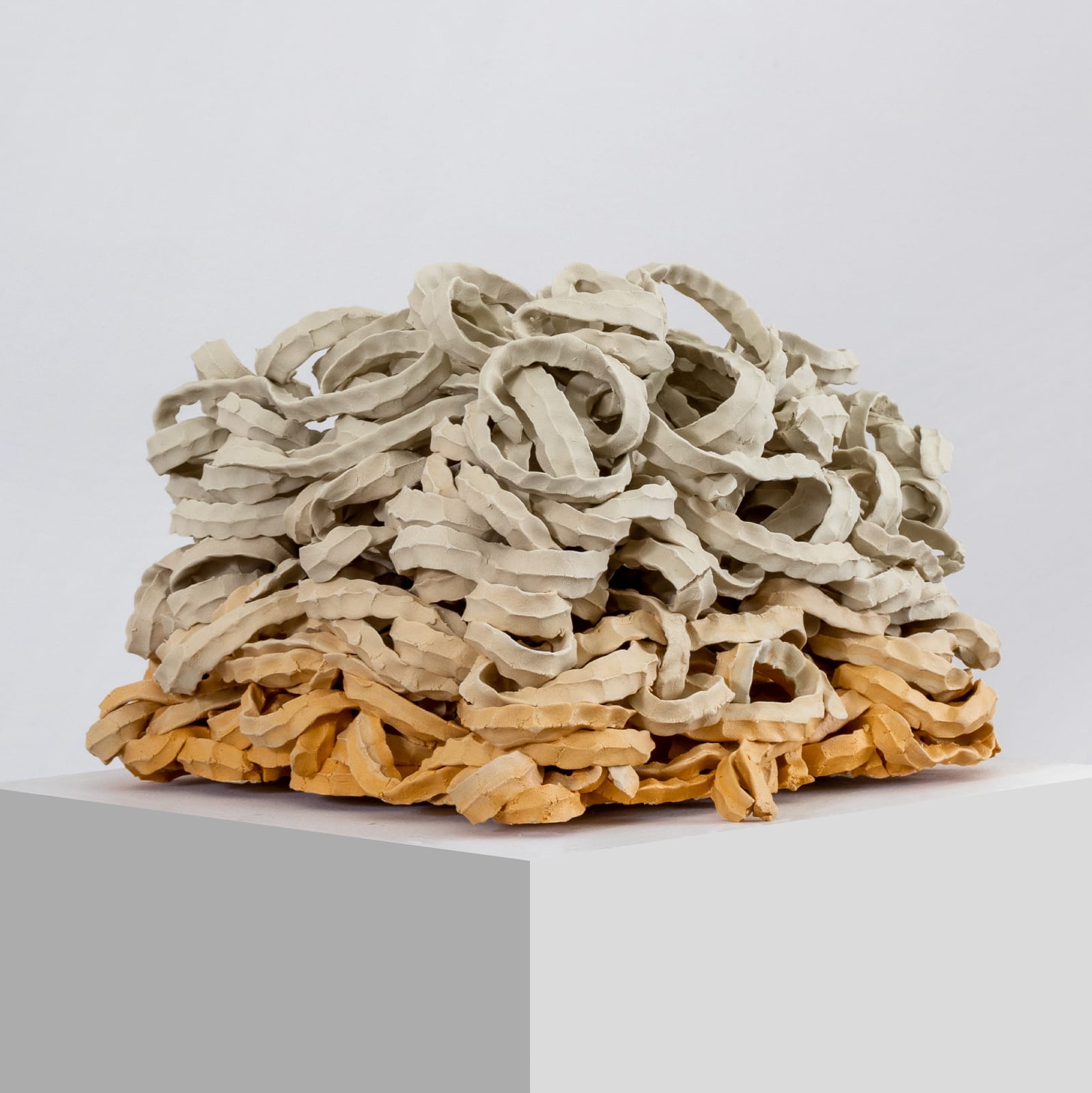 Ara Koh, Mandarin Curls, 2024