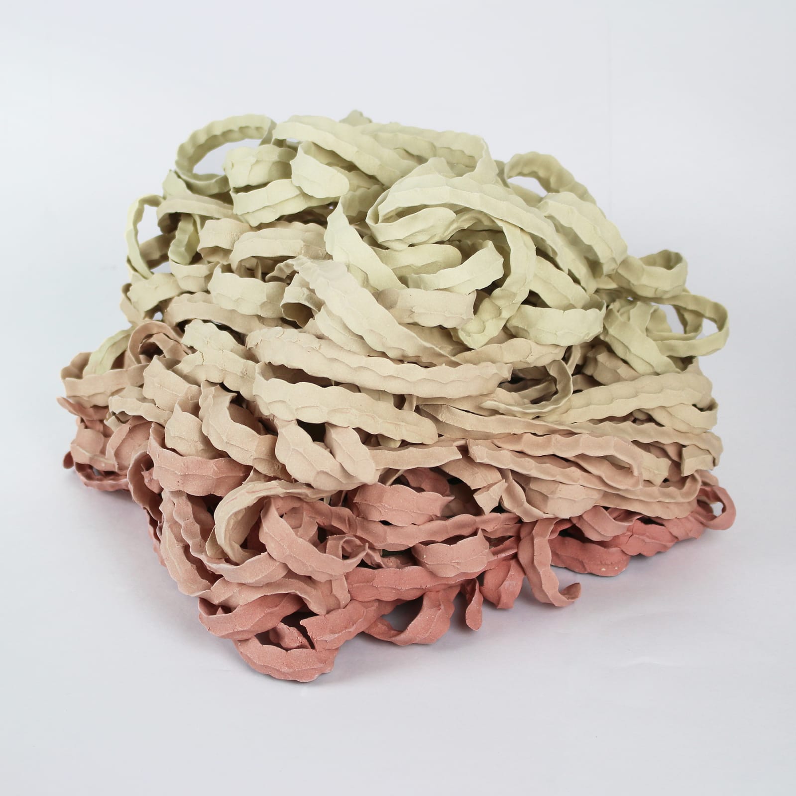 Ara Koh, Coral Pink Curls, 2024