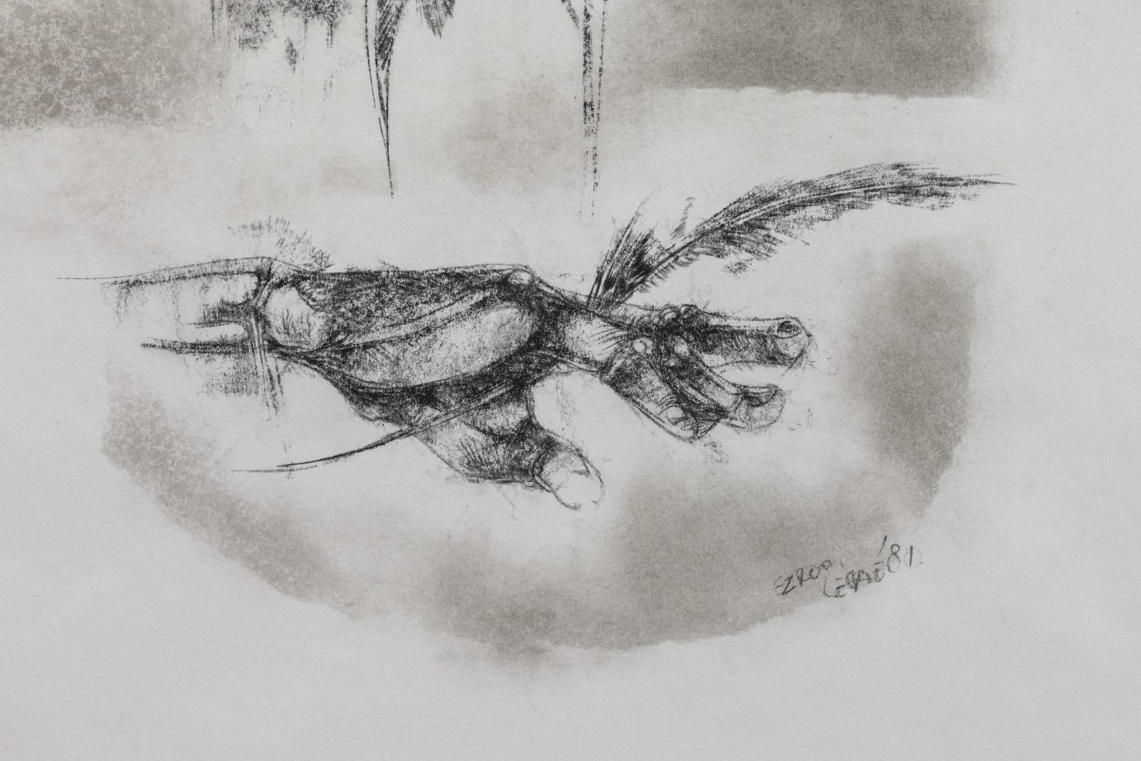 Ezrom Legae, Untitled (Anatomical study with hand), 1981