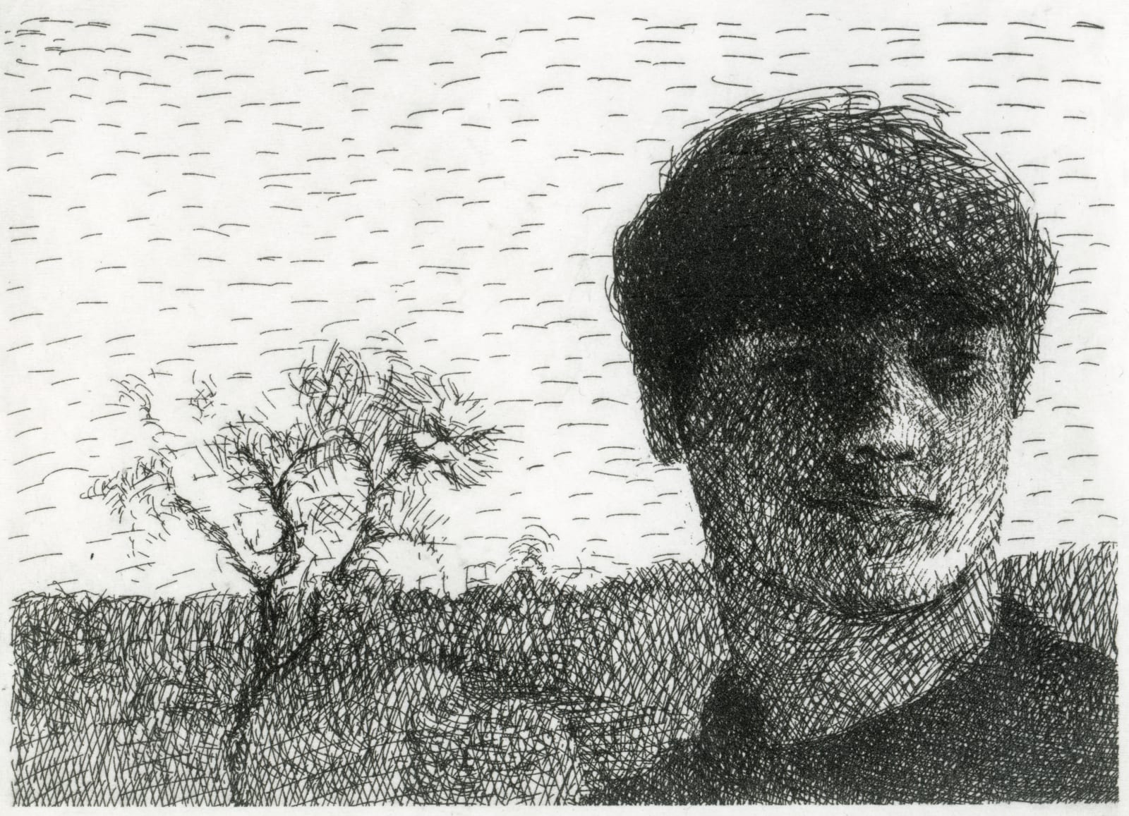 Peter Chater, Jay / Goat Willow, April 2025, 2025