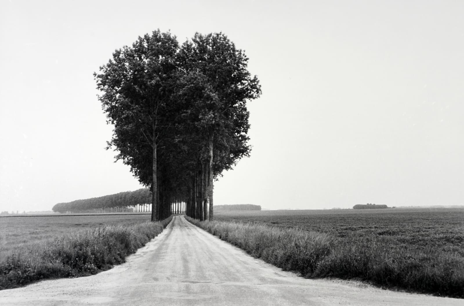 Henri Cartier-Bresson, Brie, France, 1955 (Printed Later)