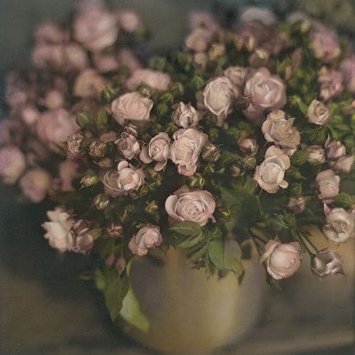 Brigitte Carnochan, Frankfurt Roses, 2000