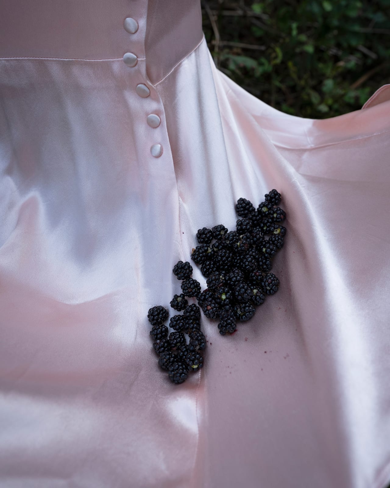 Cig Harvey, Blackberries, Dix's Island, 2019