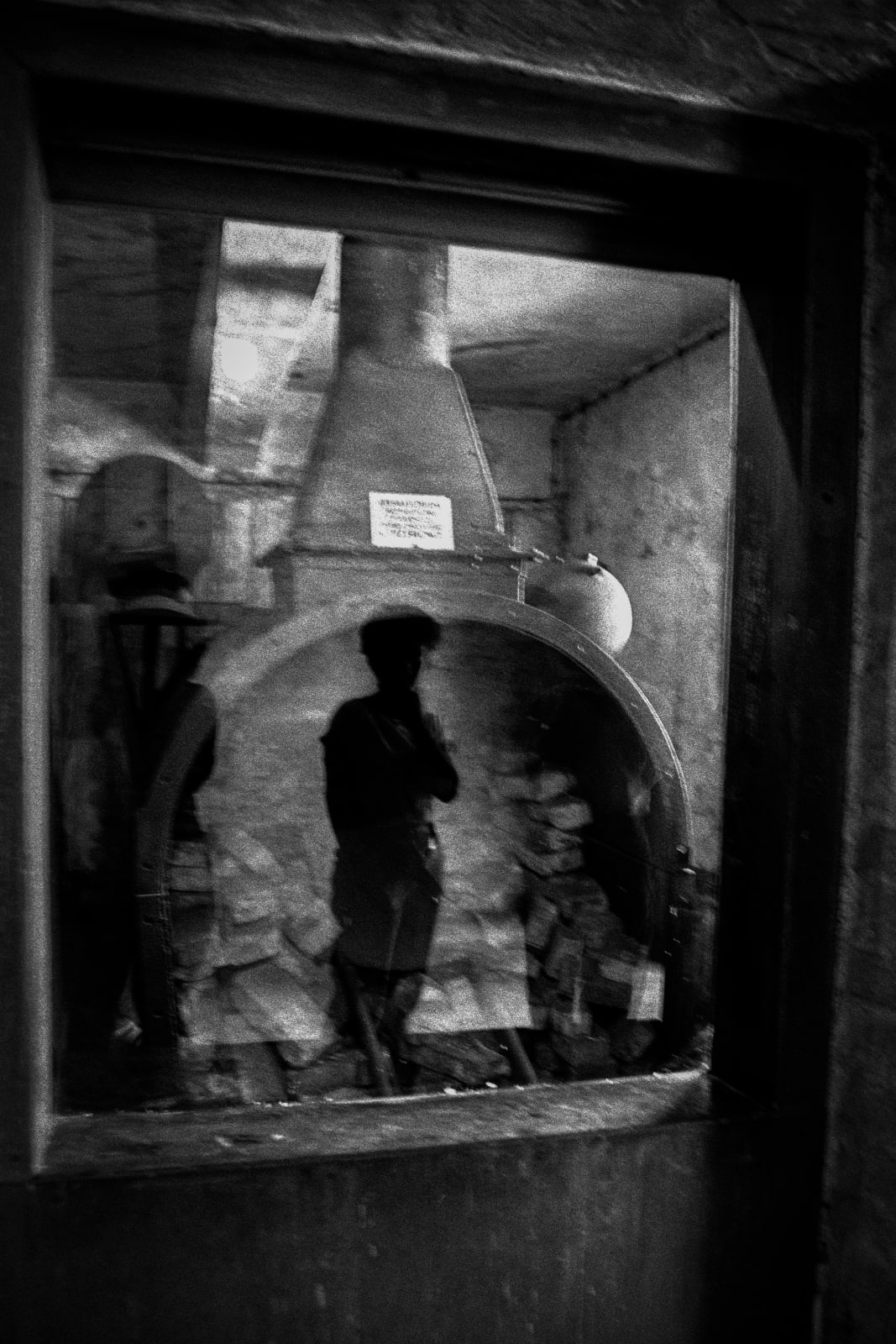 Judy Glickman Lauder, Crematory oven, Auschwitz extermination camp, Poland, 2018