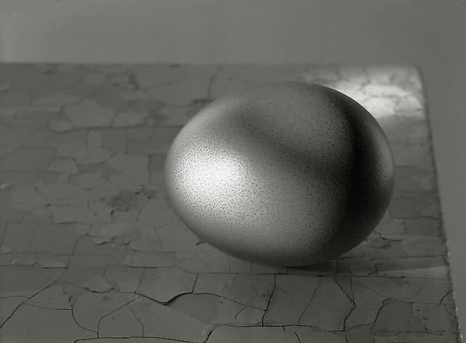 Kristoffer Albrecht, Egg on Table, 1999