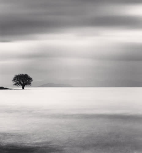 Michael Kenna, Biwa Lake Tree, Study 5, Omi, Honshu, 2007