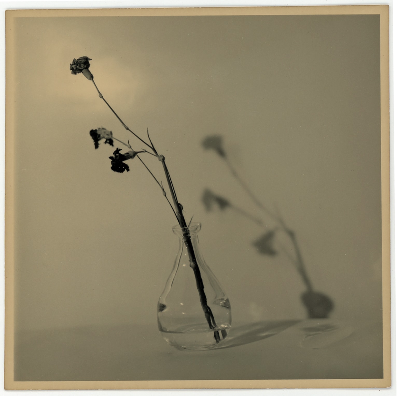 Ernesto Esquer, Still Life, 2018