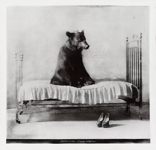 Gregori Maiofis (Григорий Майофис), Politics Makes Strange Bedfellows, 2005 / 2010