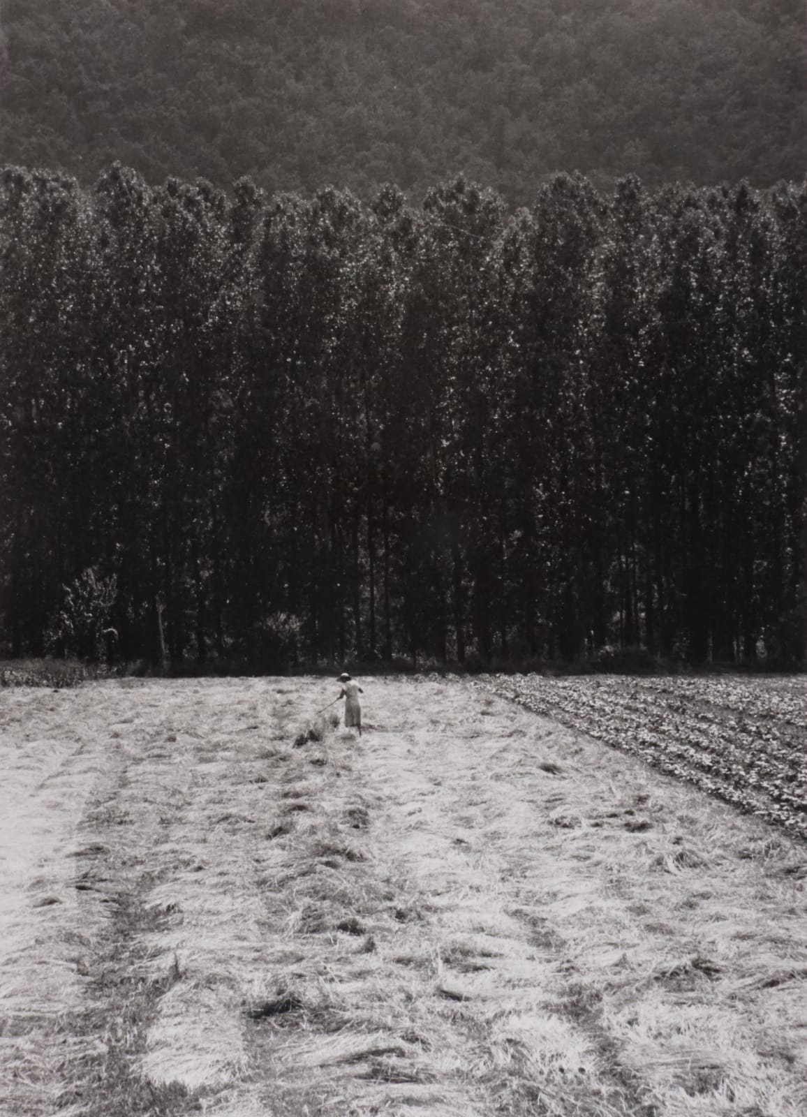 Edouard Boubat, Lella Côte d'A zur, France, 1956/Printed later